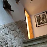Mitten In Der Natur, Ganz Nah Bei Dresden. * Bannewitz