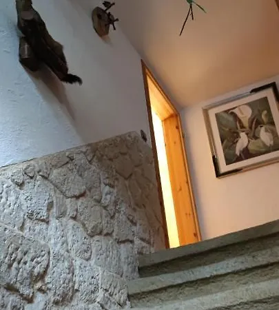 Mitten In Der Natur, Ganz Nah Bei Dresden. * Bannewitz