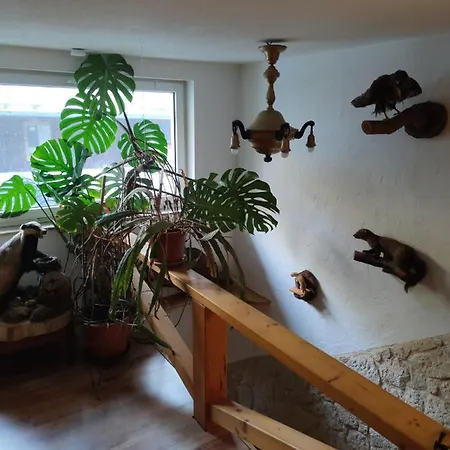 Mitten In Der Natur, Ganz Nah Bei Dresden. Apartment